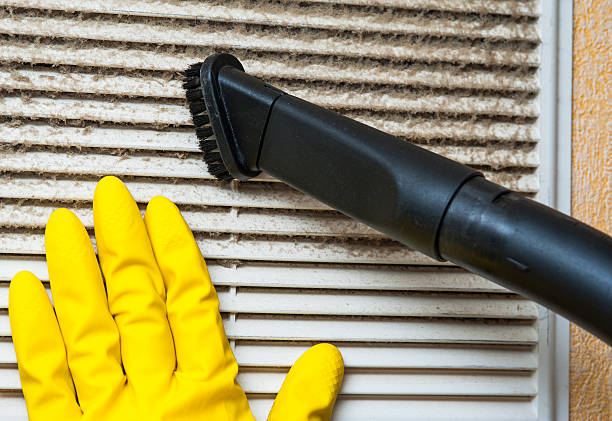 Best Affordable Air Duct Cleaning  in Muncie, IN
